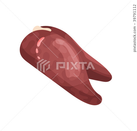 Chicken liver, internal organ of poultry vector Chicken liver, internal organ of poultry vector 39791112