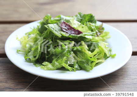 葉子沙拉用萵苣和rucola 葉子沙拉用萵苣和rucola 39791548
