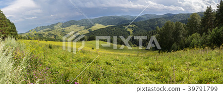 Beautiful panorama of the summer landscape in Beautiful panorama of the summer landscape in 39791799