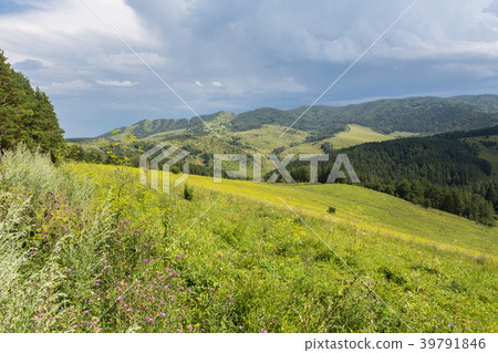 Beautiful summer landscape in Altai Mountains 39791846
