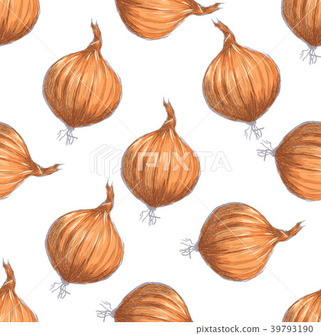 Hand drawn seamless pattern of onions Hand drawn seamless pattern of onions 39793190