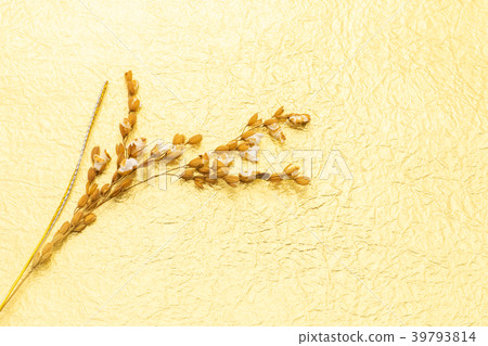 Rice field Rice field blooms Cooking decoration Rice field Rice field blooms Cooking decoration 39793814