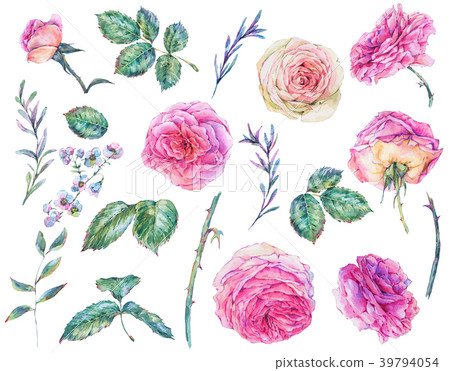 Set of vintage watercolor roses Set of vintage watercolor roses 39794054