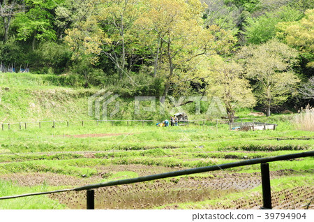 　Kamakura Central Park 39794904