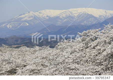 The spring of Ogawara and Shibata The spring of Ogawara and Shibata 39795347