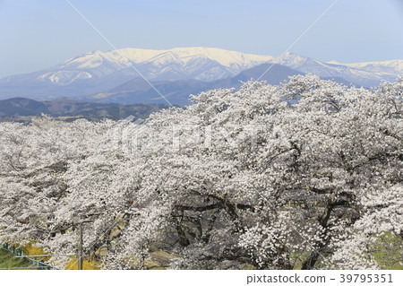 The spring of Ogawara and Shibata 39795351