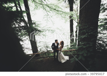 Happy wedding couple walking in a botanical park Happy wedding couple walking in a botanical park 39795817
