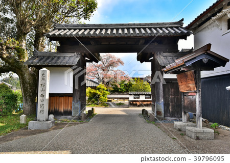 台場的街道 39796095