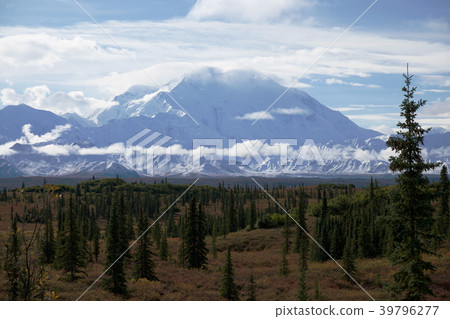 德納利國家公園和美國阿拉斯加州 39796277