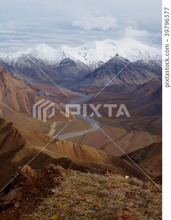 Denali National Park and Alaska, USA 39796377
