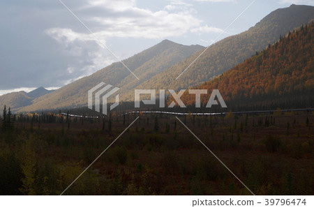 原油管道,阿拉斯加,美國 原油管道,阿拉斯加,美國 39796474