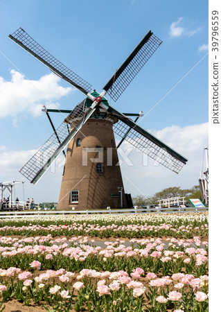 Windmill in Furusato open space in Sakura City, Chiba Prefecture 39796559