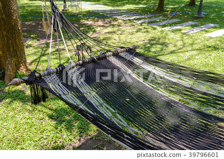Close-up hammock under the tree in garden Close-up hammock under the tree in garden 39796601