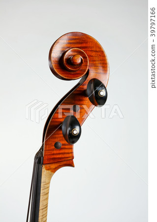 Side view of old double bass head isolated white 39797166
