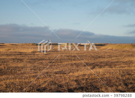 紀念碑，點·希望，阿拉斯加，美國 39798288