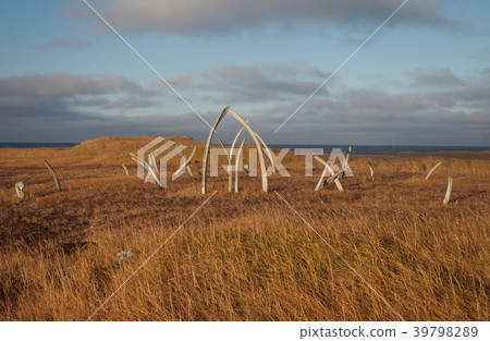 Monument, Point · Hope, Alaska, USA 39798289