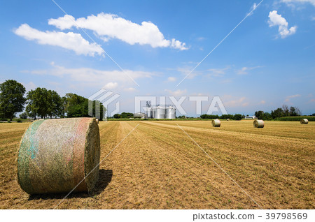 Hay bales in the field, on the background silos. Hay bales in the field, on the background silos. 39798569