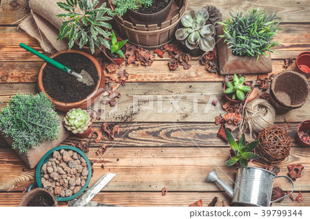 Workplace of the florist. Succulents and Workplace of the florist. Succulents and 39799344