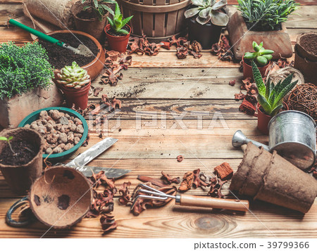 Workplace of the florist. Succulents and Workplace of the florist. Succulents and 39799366