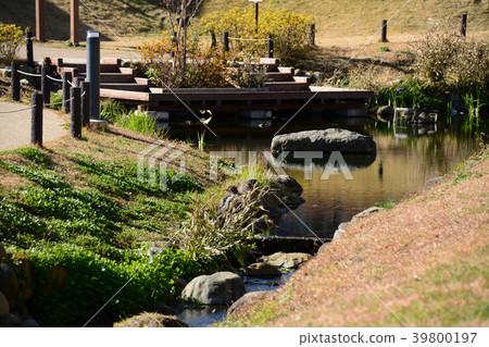 Imaizumi Arai Shimizu Park Hadano City, Kanagawa Prefecture 39800197