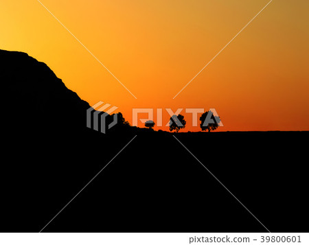 Silhouettes of trees against the setting sun Silhouettes of trees against the setting sun 39800601