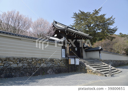 實際的醫院 39800651