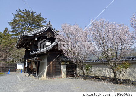 Iwakura JASIOIN trace 39800652