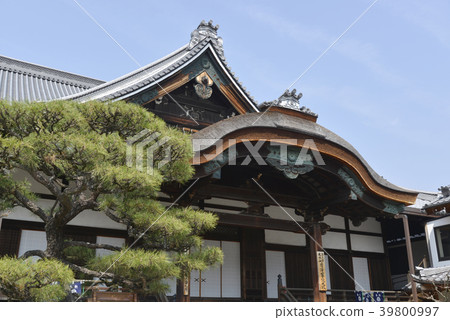 Shojo Hokain Gokendo Shojo Hokain Gokendo 39800997