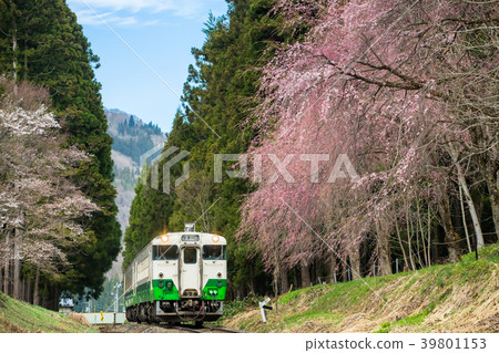 Tadami Line Sakura Goto-Aizu Yanatsu Tadami Line Sakura Goto-Aizu Yanatsu 39801153