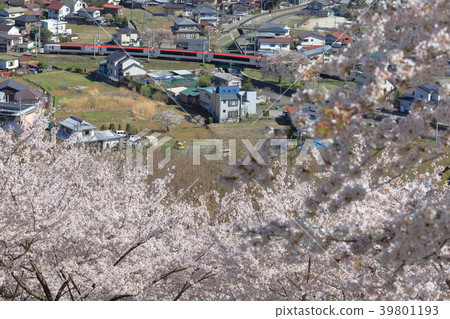 從Shin Kurayama淺間公園看到的櫻花和成田特快 39801193