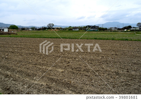 Countryside Countryside 39801681