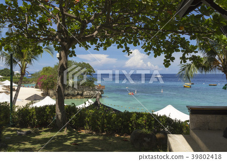 resort, resorts, tropical 39802418