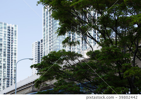 比爾和新鮮的綠色 39802442