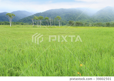 Ozegahara Nakatadai Yoppi河周圍的朦朧風景在夏天 Ozegahara Nakatadai Yoppi河周圍的朦朧風景在夏天 39802501