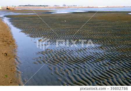 Flat landing of Shinkai Flat landing of Shinkai 39802786