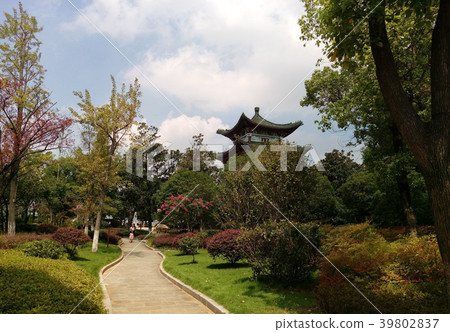 像Haren一樣的Tenki，像Kure-ryu一樣的公園，還有Kinsen花園的風口。 39802837