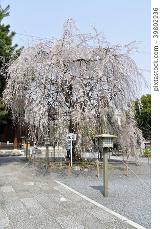 Senbon Buddha Temple 39802936