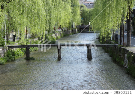 Kyoto Shirakawa Ipponbashi and willow row trees Kyoto Shirakawa Ipponbashi and willow row trees 39803131