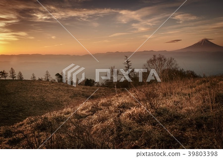 Morning glow of Fuji 39803398