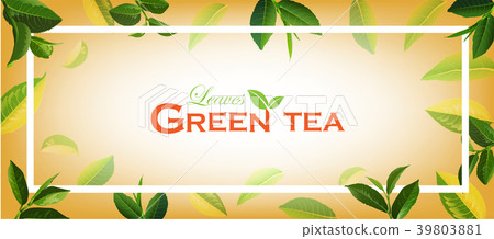 Green Tea leaves on Orange background. Green Tea leaves on Orange background. 39803881