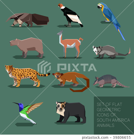 Set of flat geometric south America animals 39806655