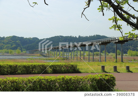 靜岡縣島田市Oigawa Shibahashi(Horaibashi) 靜岡縣島田市Oigawa Shibahashi(Horaibashi) 39808378