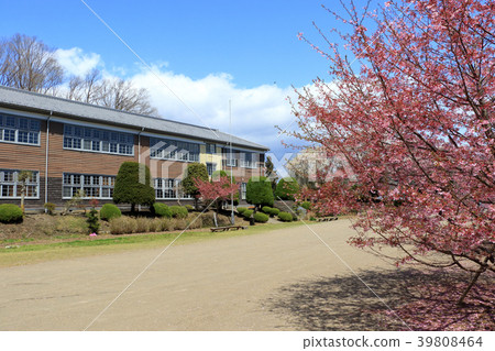 Spring Izo Studio Spring Izo Studio 39808464