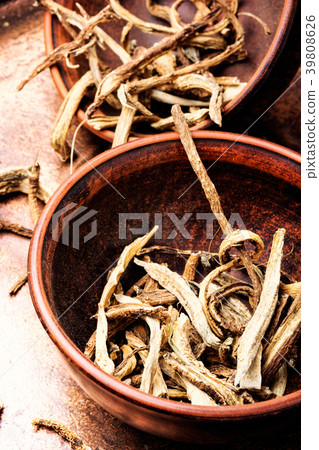 Medicinal root inula Medicinal root inula 39808626