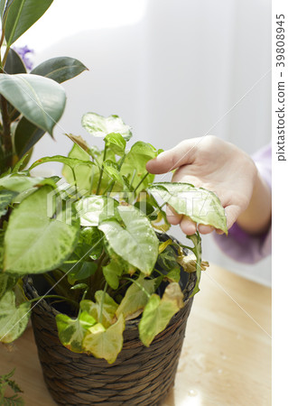 Happy mother and daughter Happy mother and daughter 39808945