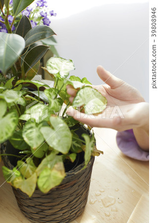 Happy mother and daughter Happy mother and daughter 39808946