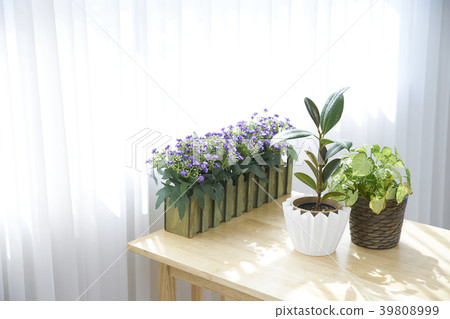 Happy mother and daughter 39808999