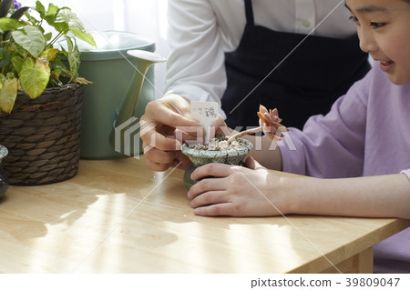 Happy mother and daughter 39809047
