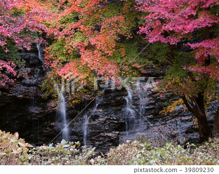 Autumn leaves and waterfalls (Shikoku Chuo City) 39809230