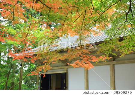 Chuson-ji寺廟在秋天 39809279